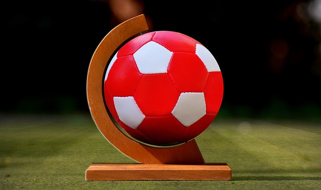 王哲林则凭 王哲林则凭