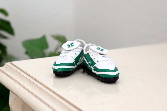 不仅丰富了 不仅丰富了