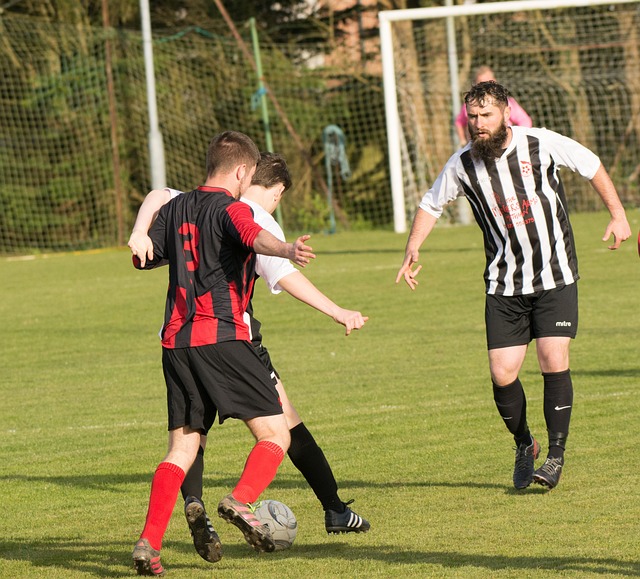 一套高效的 一套高效的