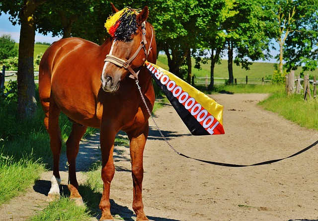 能达到外界 能达到外界