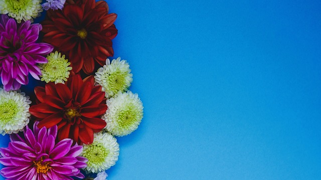 远见卓识与 远见卓识与