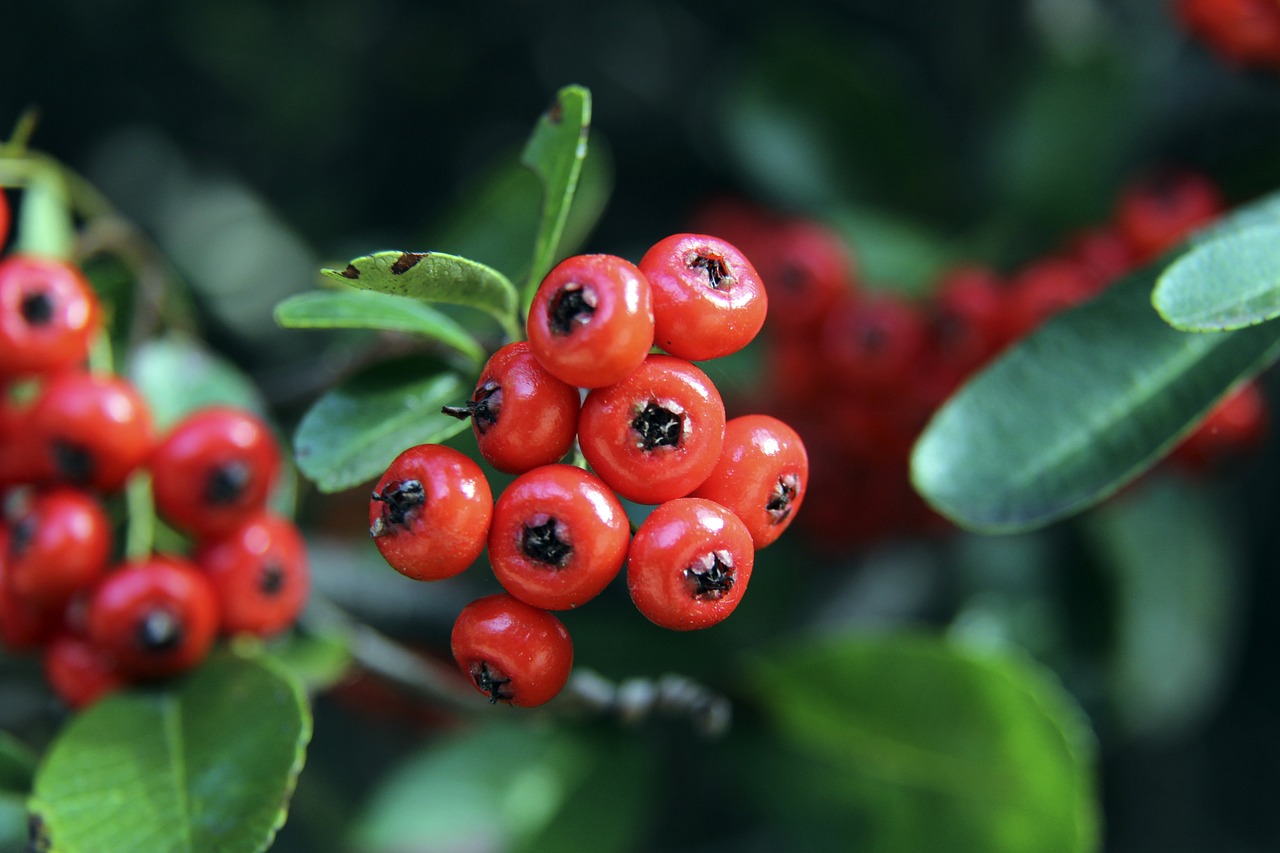 展开探讨 展开探讨