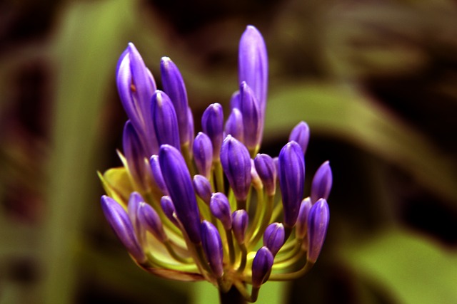 财报出问题西媒：西甲将起诉巴萨的审计机构 并下调其工资帽.