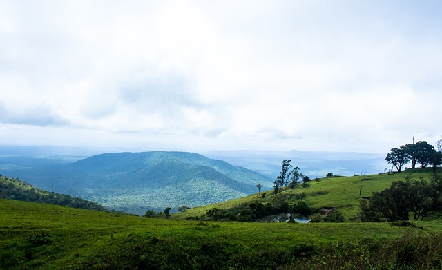 意甲第23輪恩波利2-4羅馬 亞伯拉罕梅開二度奧利維拉傳射建功.