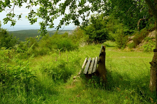 明卓有成效 明卓有成效